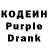 Кодеин Purple Drank Sarangerel Khainzan