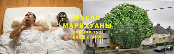 гидра Кодинск