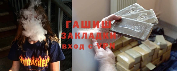 гидра Кодинск