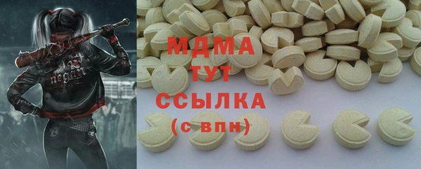 гидра Кодинск