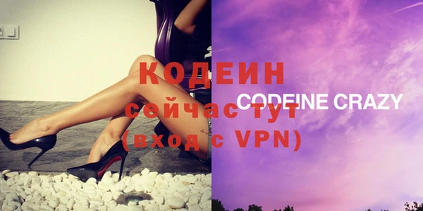 гидра Кодинск