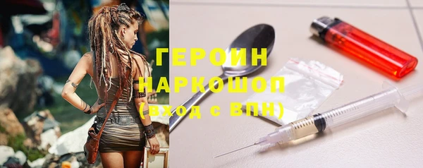 гидра Кодинск