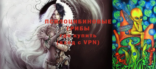 гидра Кодинск