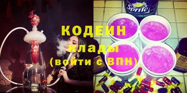 гидра Кодинск