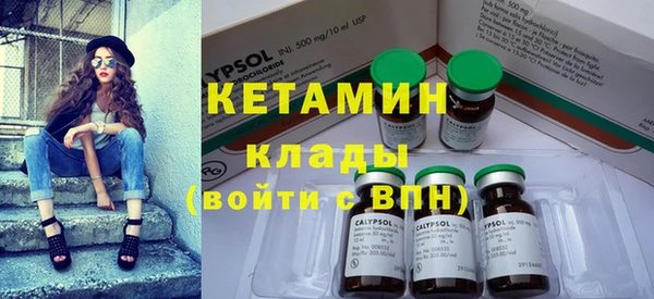 гидра Кодинск
