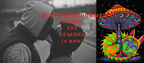 гидра Кодинск