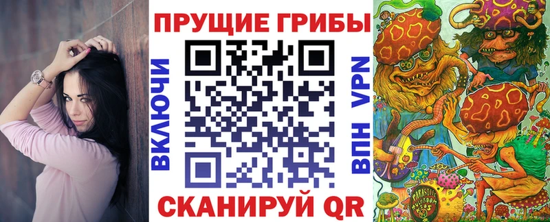 Купить закладки  Палласовка  Псилоцибиновые грибы ЛСД 